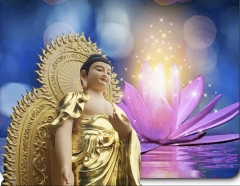 Ý nghĩa lễ vía Đức Phật A Di Đà